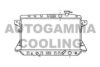 AUTOGAMMA 102117 Radiator, engine cooling
